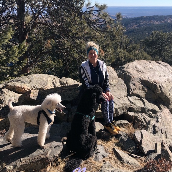 🌻Meet your Posher, Sammy - Picture 9 of 16